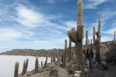 Die Isla Incahuasi im Salar