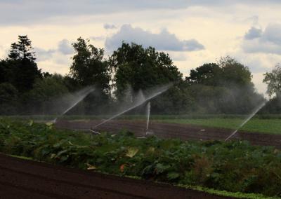 wassersprenger wassersprenger