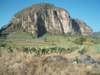 Kaktus und Berglandschaft auf den Weg nach Tlalti Kaktus und Berglandschaft auf den Weg nach Tlalti