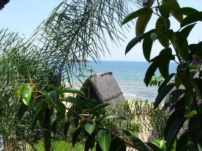 Weihnachtszeit in Malawi...