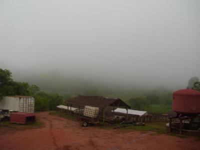 Nebel ueber der Farm...