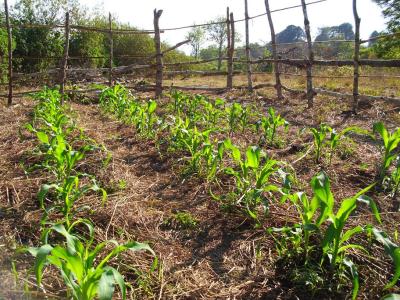 Mein schniekes Testfeld