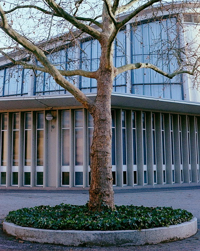 Contax G1 + 45/2 Planar Contax G1 + 45/2 Planar