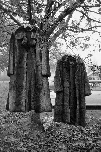 Leica Z2X + PolypanF Leica Z2X + PolypanF