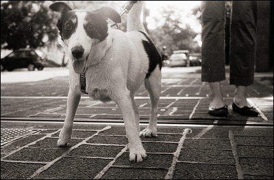 Rollei 35 + Kodak Hawkeye 2485 + Atomal A49 1/2