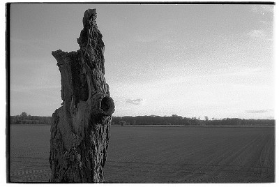 Minox GT + PolypanF @ 80ASA + B&W Gelb 4x + Caffenol-C-H