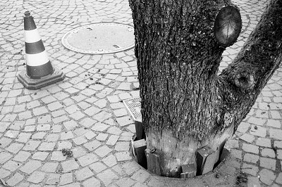 Canonet 28 Canonet 28