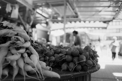 Olympus Mju II 35/2,8 + Polypan F @ 50 ASA Olympus Mju II 35/2,8 + Polypan F @ 50 ASA