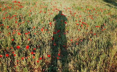 Minox 35 GT Minox 35 GT