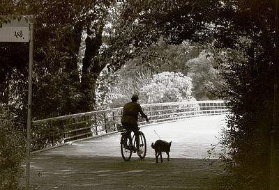 Leica IIIc +  Summitar 2/5cm