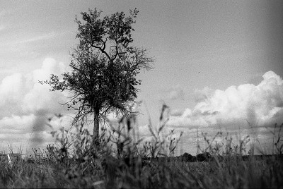 Minolta XG9 + MC Rokkor-PF 50/1,7