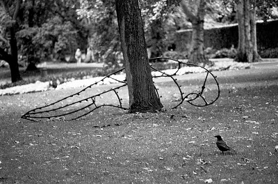 M2 + Summicron 50/2 M2 + Summicron 50/2