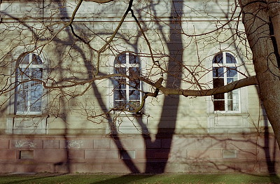 Contax G1 + 45/2 Planar Contax G1 + 45/2 Planar