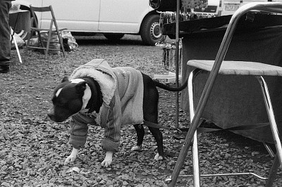 Leica Z2X + PolypanF Leica Z2X + PolypanF
