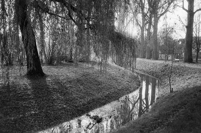Leica Z2X + PolypanF + Caffenol-C-L Leica Z2X + PolypanF + Caffenol-C-L