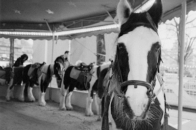 Leica Z2X + Tri-X-Pan 400 + Caffenol-c-L