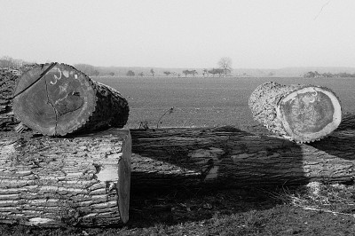 Canonet 28 + PolypanF Canonet 28 + PolypanF