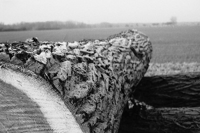 Canonet 28 + PolypanF Canonet 28 + PolypanF