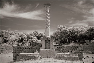 M8 + Industar 26 + IR-Filter