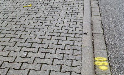 Lumix DMC-TZ22 Lumix DMC-TZ22