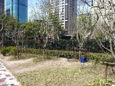 vielleicht schwer zu erkennen: Vogelk&auml;fige in den B&auml;umen