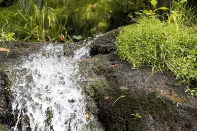 https://pixabay.com/de/photos/allerheiligen-wasserfall-wasser-951007/