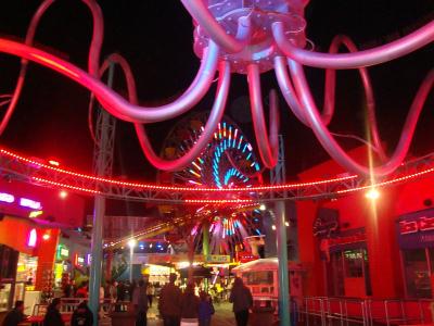 ... offenbart seine n&auml;chtliche Farbenpracht.