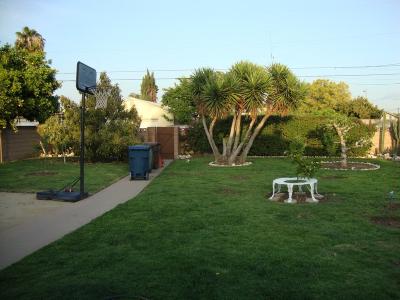 Ein Blick hinters Haus zeigt unsere Spielwiese ...