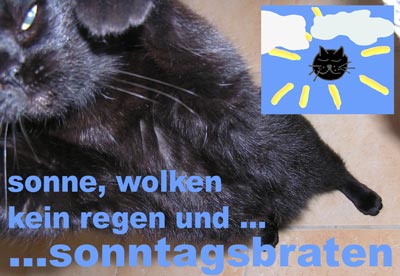 katzenwetter_06_jul_2008