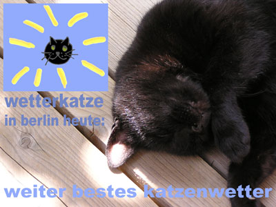 wetter-katze-berlin-02-jul-2008