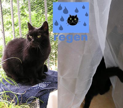 katzenwetter_04_jul_2008