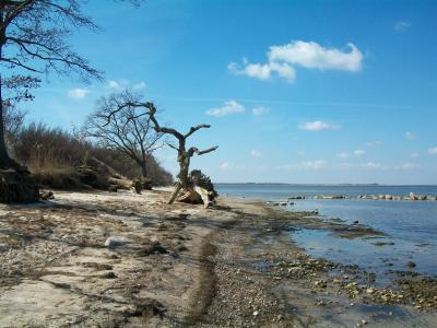 Strand bei Ludwigsburg am Greifswalder Bodden