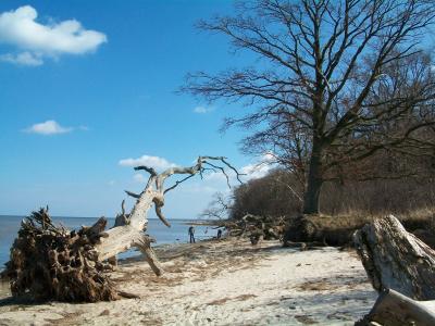 Strand bei Ludwigsburg an der Greifswalder Boddenküste