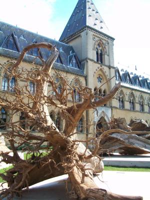 Regenwald vor dem Naturkundemuseum