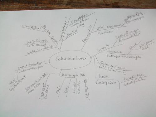 Schweinehund Mindmap