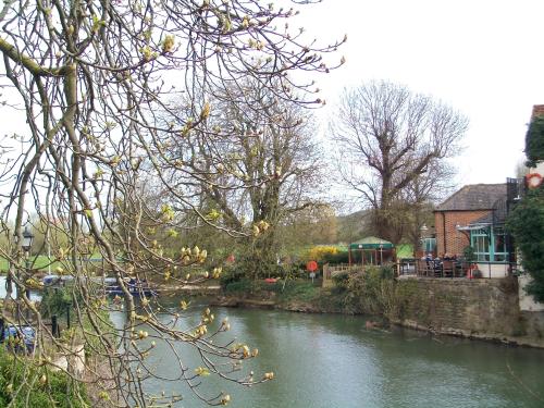 Die Themse bei Abingdon im Frühlingsgewandt