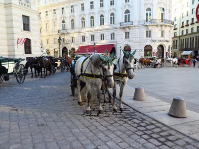 Horses Horses