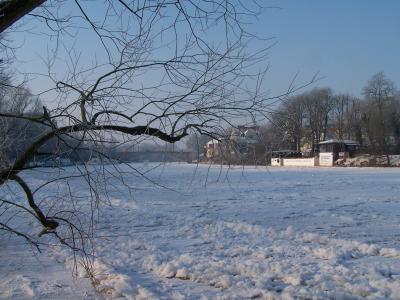 Gefrorene Flut: Die Saale im Februar 2012